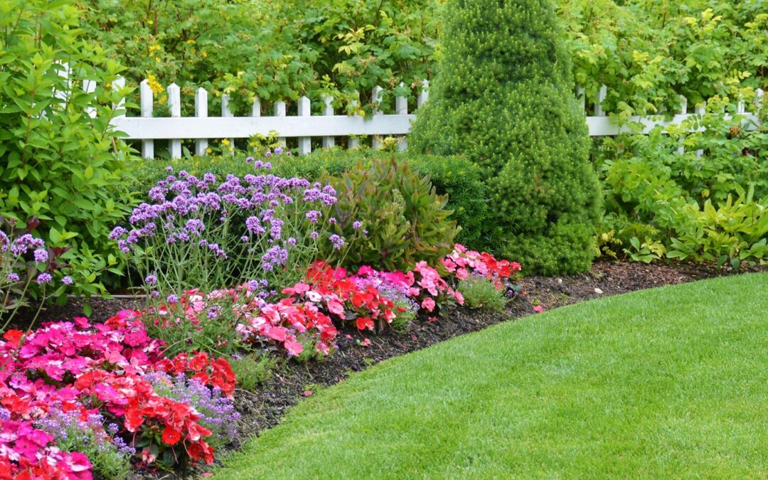 Landscape Design and Maintenance Services in New Haven, CT