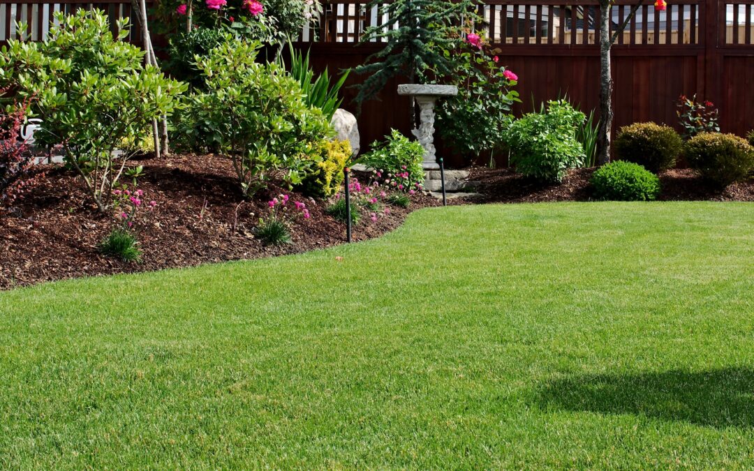 Best Lawn Care Maintenance & Landscaping Services | East Haven, CT