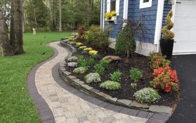 Expert Tree & Shrub Pruning Services in New Haven, CT