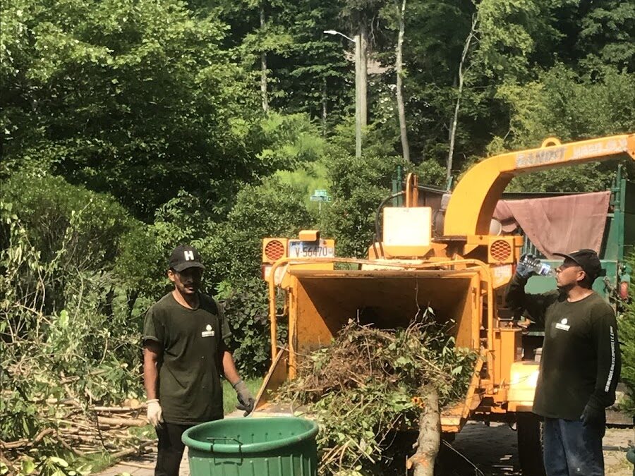 Tree Removal, Pruning & Stump Grinding Contractor in East Haven, CT