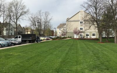 New Haven, CT | Best Landscape Lawncare Contractor | Landscape Maintenance