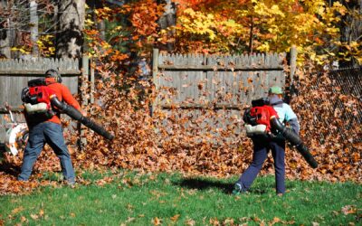 Fall Season Yard Clean Up & Leaf Removal Services | West Haven, CT