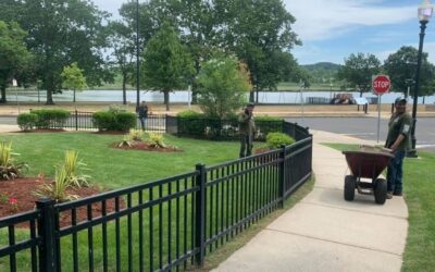 Commercial Property Landscape Maintenance Services | East Haven, CT
