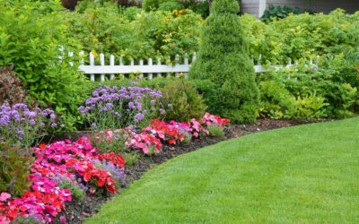 Tree and Shrub Planting Services | East Haven, CT